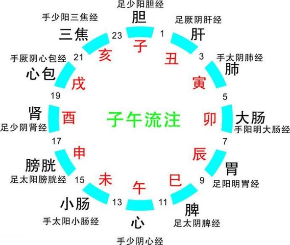 每日是指24还是12小时游戏截图