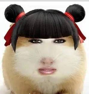 猪妞表情包仙女下凡