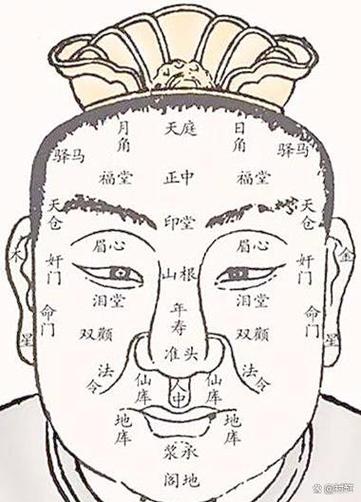 额头上有竖纹代表什么截图