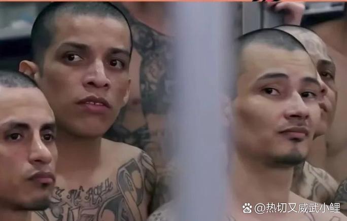 m外面一个圈是什么意思