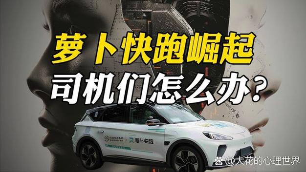 萝卜快跑比滴滴贵吗