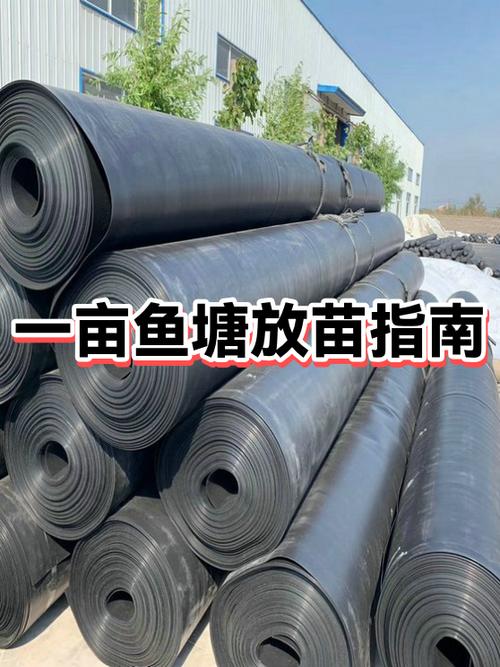 鱼塘承包多少钱一亩缩略图