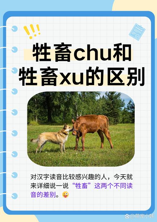 畜chu和畜xu的区别