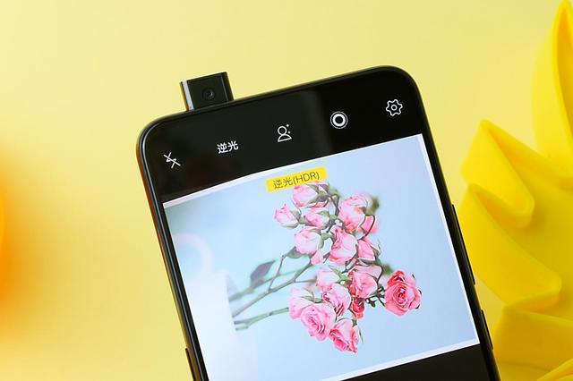 vivo您就读小学是答案在哪找
