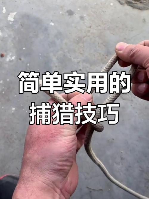 吊脚套捕猎方法