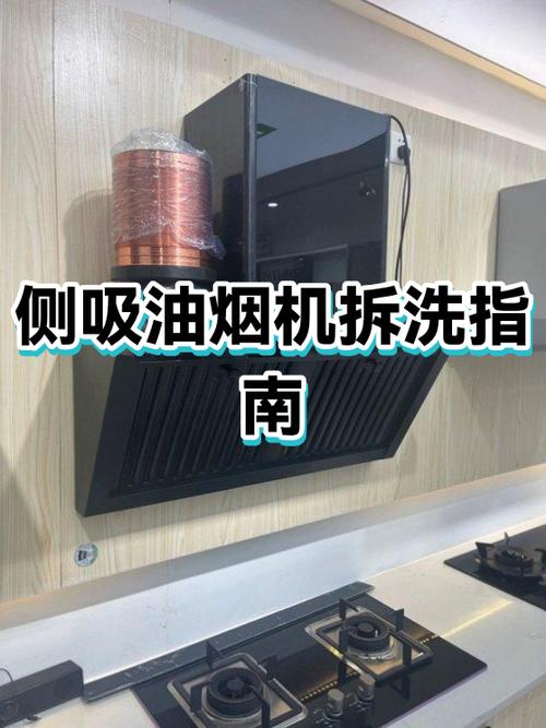 清洗抽油烟机大概多少钱游戏截图