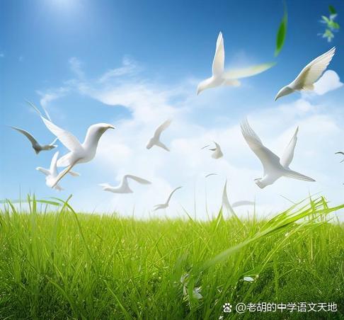 恢复生命的纯净截图