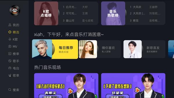 电视版网易云叫什么