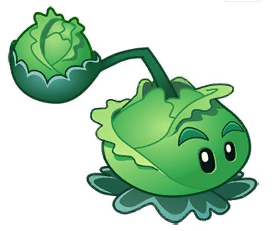 五阶卷心菜投手打无尽