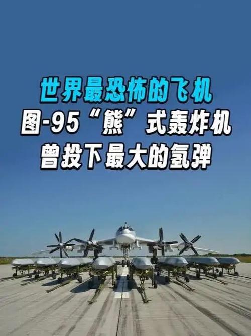 10种已灭绝飞机