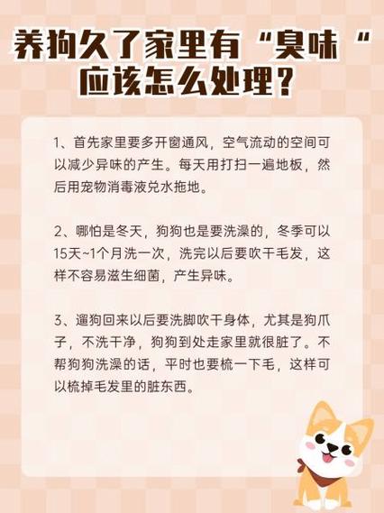 房间养狗有很大味道怎么处理