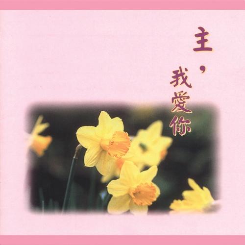 苹果下载我灵赞颂我主注意事项