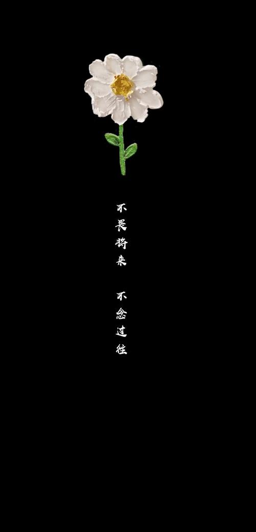 黑色壁纸带字
