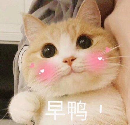 早鸭大家是什么意思