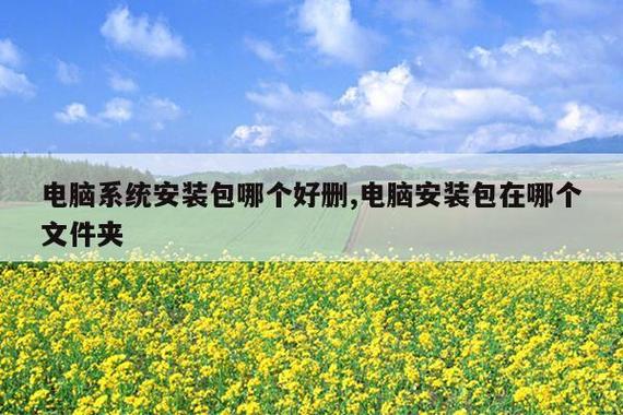 系统桌面安装包游戏截图