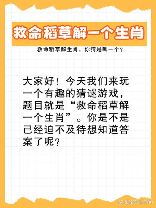 无药可救打一准确生肖图标