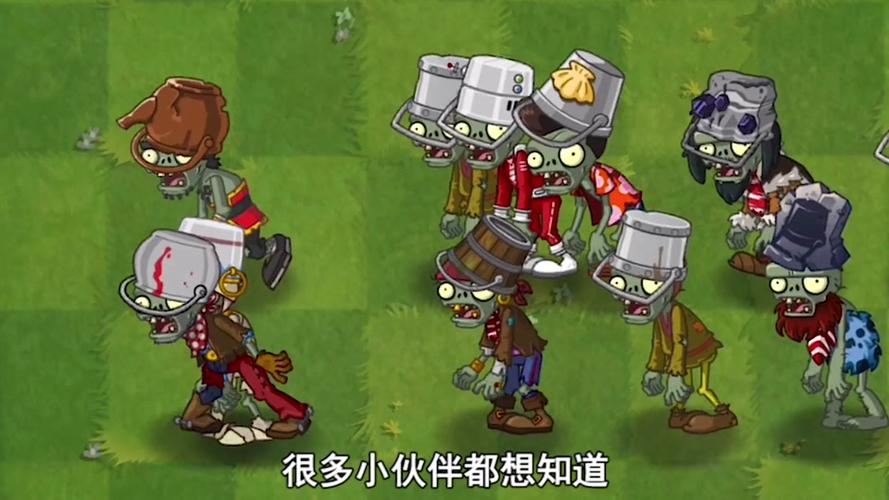 植物大战僵尸海盗港湾14