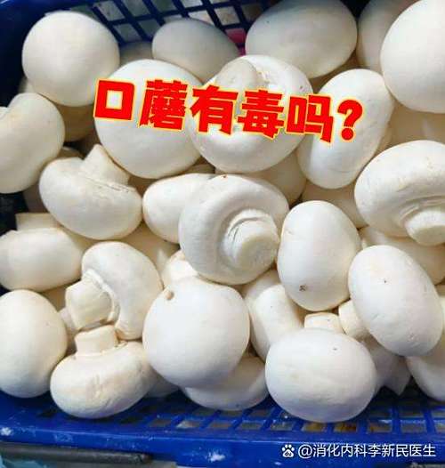 人工种蘑菇10大品种截图