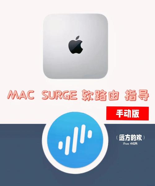 surge使用教程