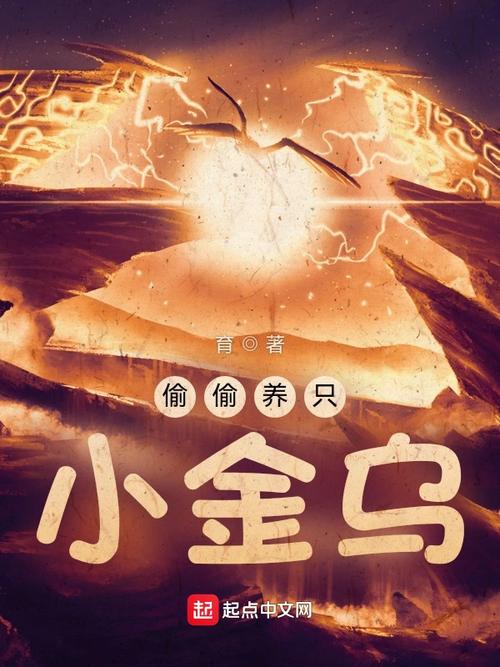 偷偷养只小金乌阅读地址