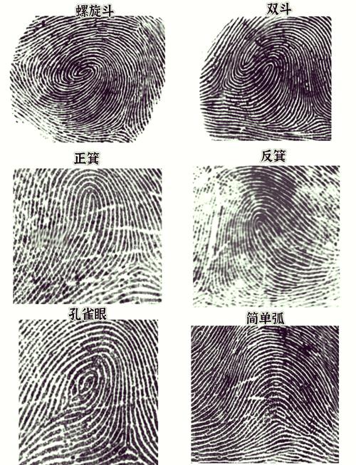 指纹新旧程度可以查么