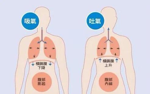 唱歌的时候横膈膜是扩张还是收缩