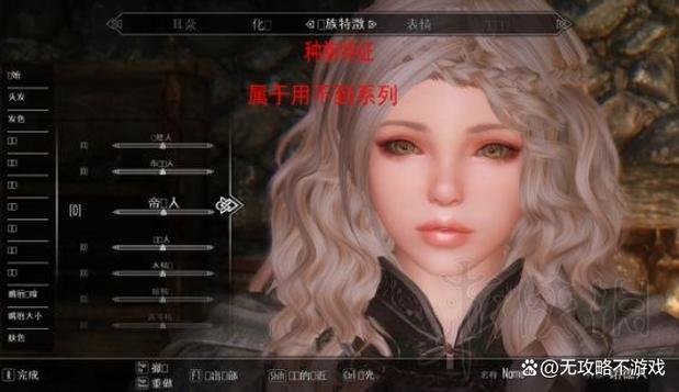 上古卷轴5捏脸数据男游戏截图