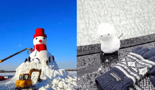 南方雪人vs北方雪人图标