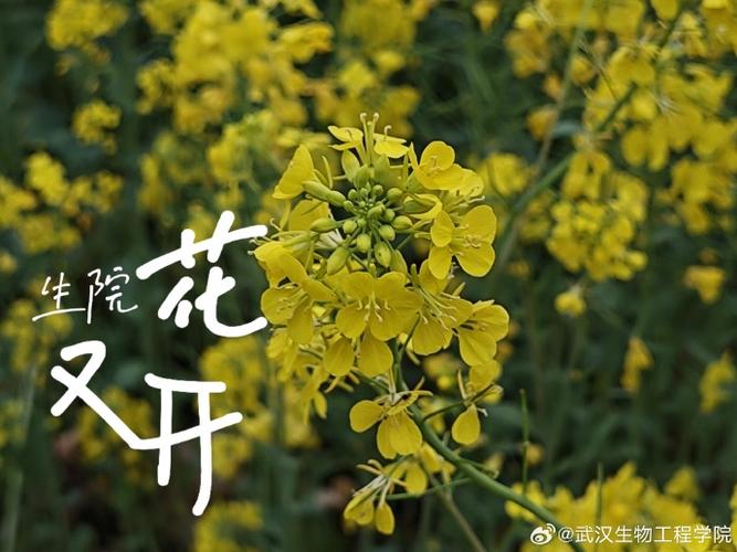 春暖花开生孩子
