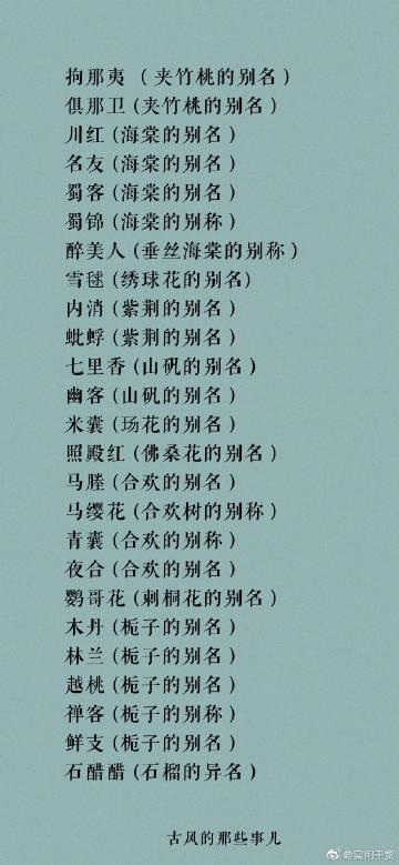 “娱乐”的雅称