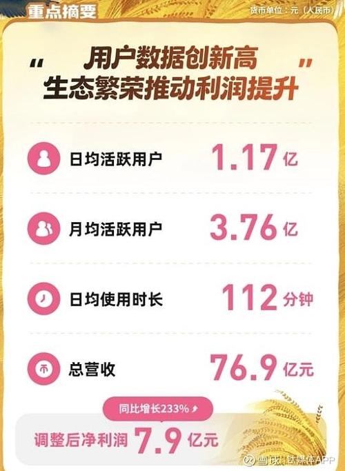 up主的视频赚钱方法截图