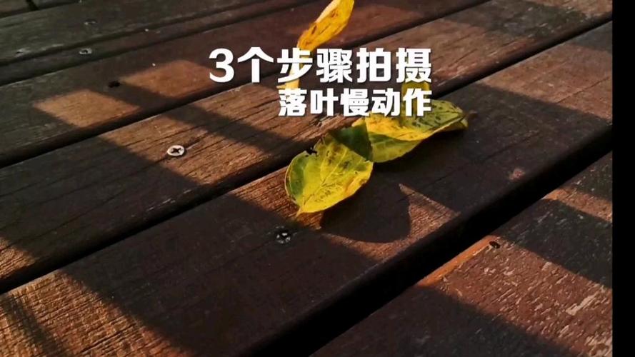 慢动作视频怎么拍