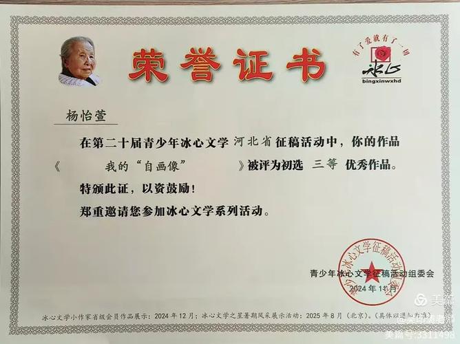 冰心省赛一等奖难吗