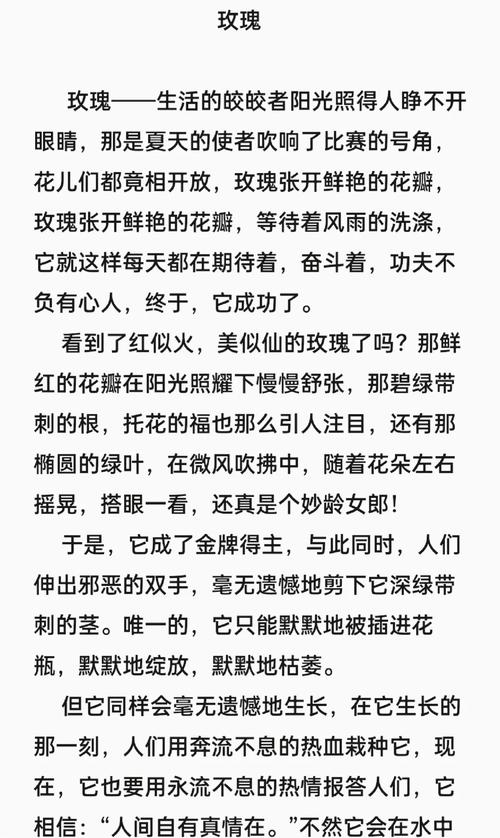 盛开的玫瑰小说阅读截图