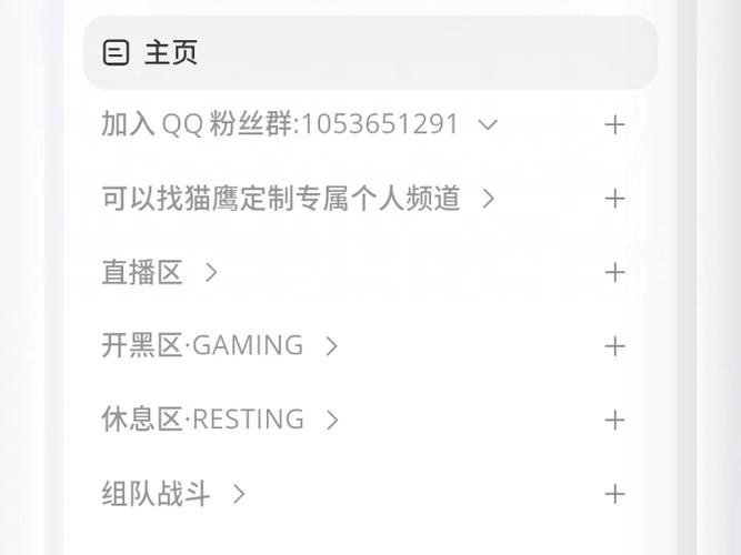 打游戏连麦软件最热