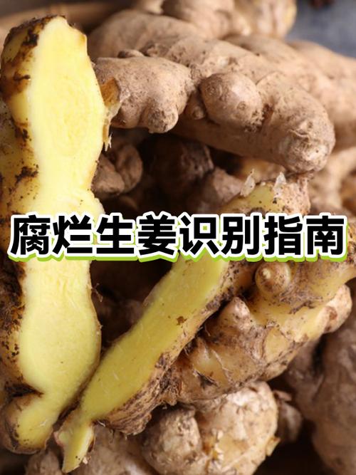 什么可以让肉腐烂