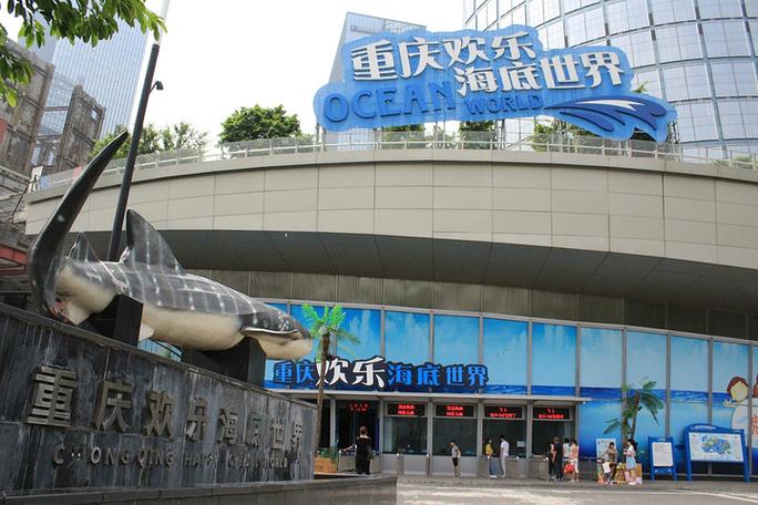 重庆海洋馆欢乐海底世界游戏截图