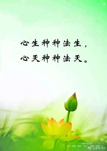 佛说丧子是前世欠了什么债