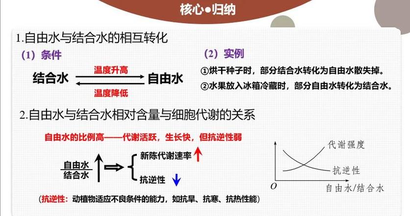 水在生物化学反应中的作用