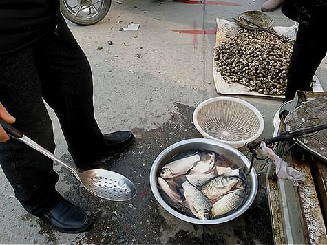 闲鱼访客记录