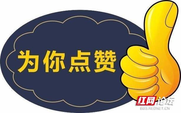 为你点赞全部视频