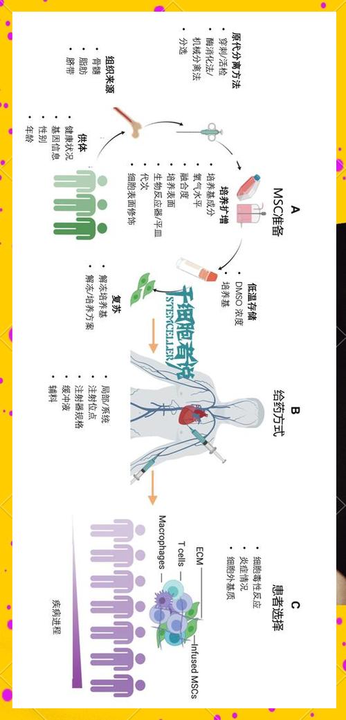 什么是血培养检查