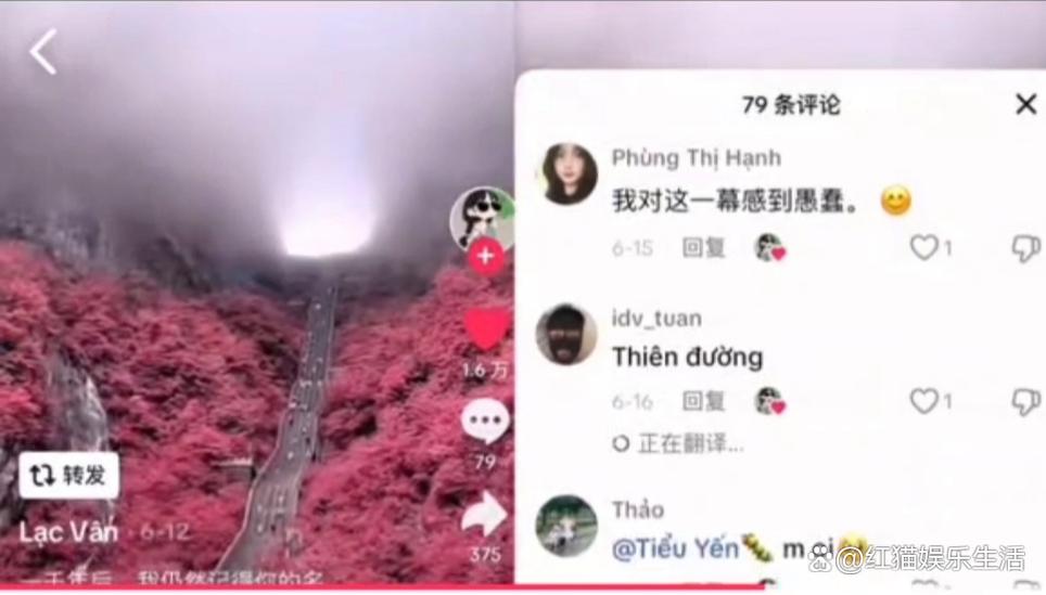 网上最近比较火的短视频截图