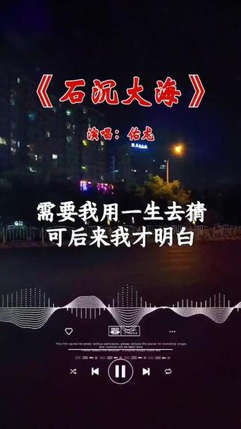 歌曲石沉大海王理文完整版截图