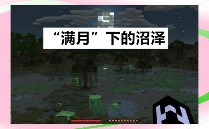 我的世界沼泽地游戏截图