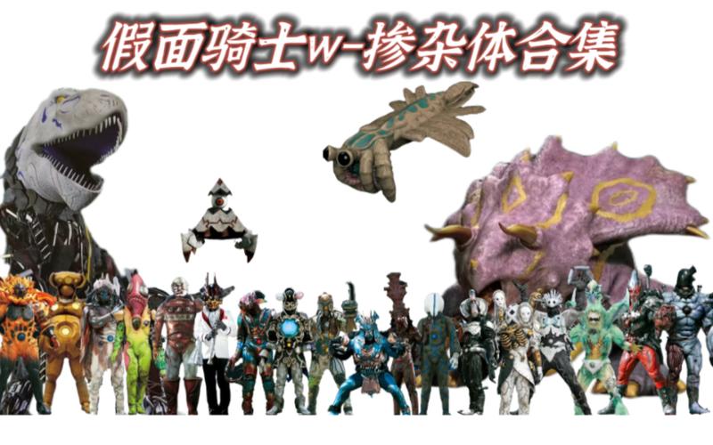 假面骑士w掺杂体记忆体