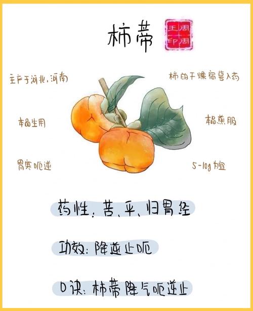 七绝山柿树精出现几率