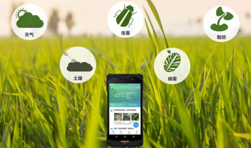 抓包精灵安卓版下载