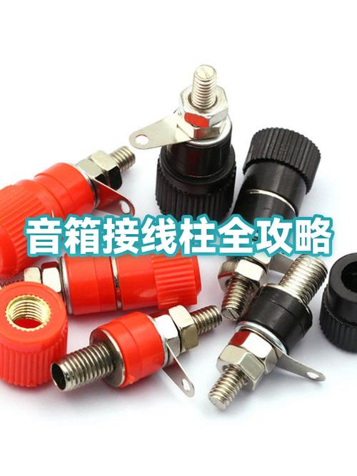 音箱四个接线柱怎样接游戏截图