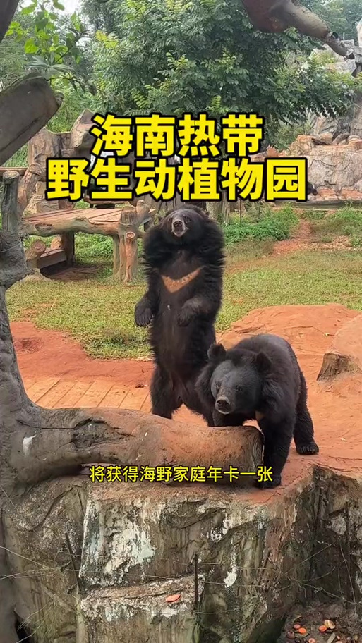 海南野生动植物园门票